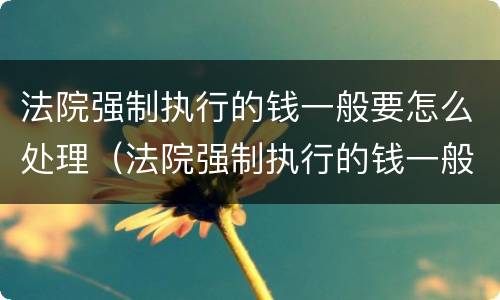 法院强制执行的钱一般要怎么处理（法院强制执行的钱一般要怎么处理才能退）
