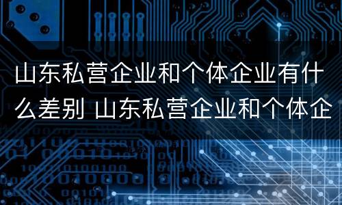 山东私营企业和个体企业有什么差别 山东私营企业和个体企业有什么差别吗