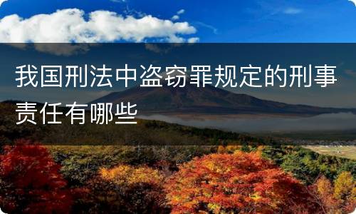 我国刑法中盗窃罪规定的刑事责任有哪些