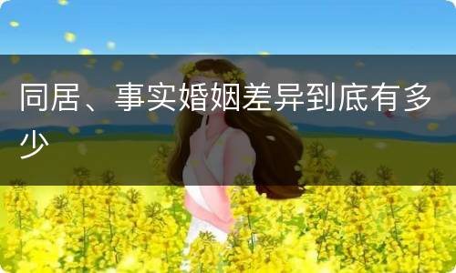 同居、事实婚姻差异到底有多少