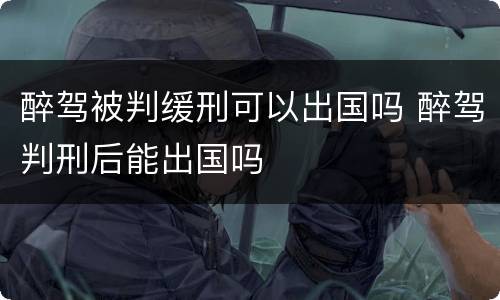 醉驾被判缓刑可以出国吗 醉驾判刑后能出国吗