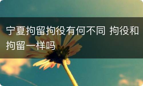 宁夏拘留拘役有何不同 拘役和拘留一样吗