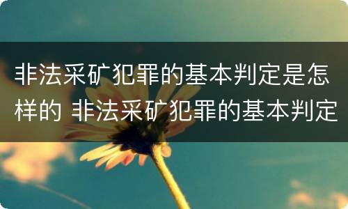 非法采矿犯罪的基本判定是怎样的 非法采矿犯罪的基本判定是怎样的案例