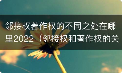 邻接权著作权的不同之处在哪里2022（邻接权和著作权的关系）