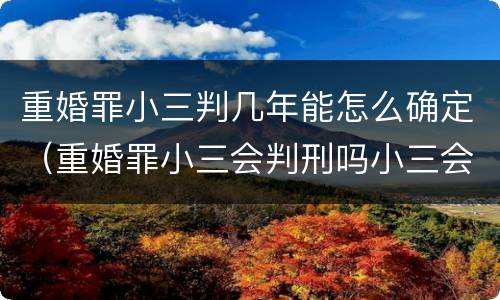 重婚罪小三判几年能怎么确定（重婚罪小三会判刑吗小三会判刑几年）