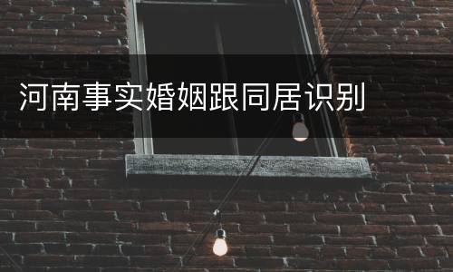 河南事实婚姻跟同居识别