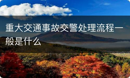 重大交通事故交警处理流程一般是什么