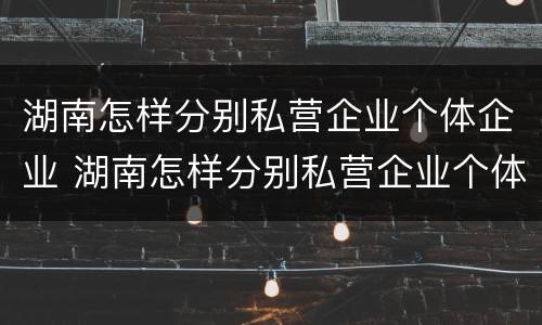 湖南怎样分别私营企业个体企业 湖南怎样分别私营企业个体企业和国企