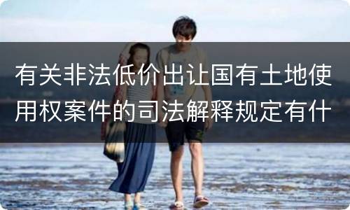 有关非法低价出让国有土地使用权案件的司法解释规定有什么主要内容