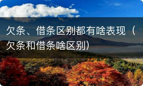 欠条、借条区别都有啥表现（欠条和借条啥区别）