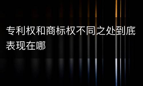 专利权和商标权不同之处到底表现在哪