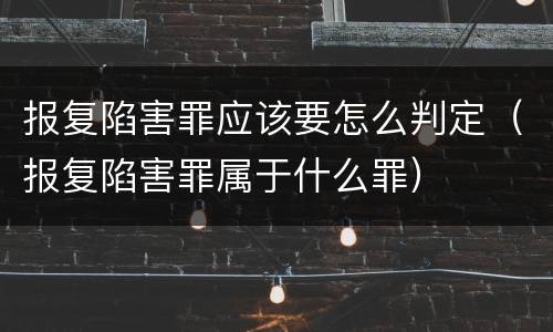 报复陷害罪应该要怎么判定（报复陷害罪属于什么罪）