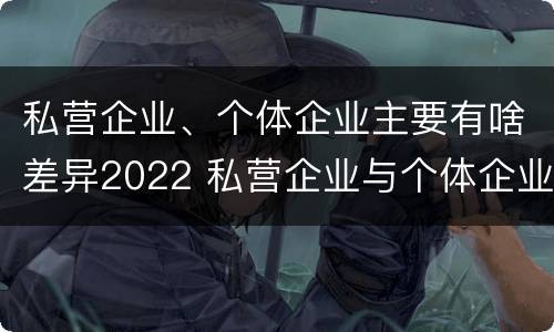 私营企业、个体企业主要有啥差异2022 私营企业与个体企业的区别