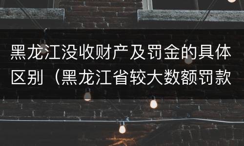 黑龙江没收财产及罚金的具体区别（黑龙江省较大数额罚款标准）