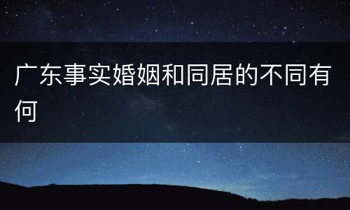 广东事实婚姻和同居的不同有何