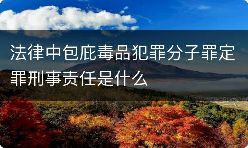 法律中包庇毒品犯罪分子罪定罪刑事责任是什么