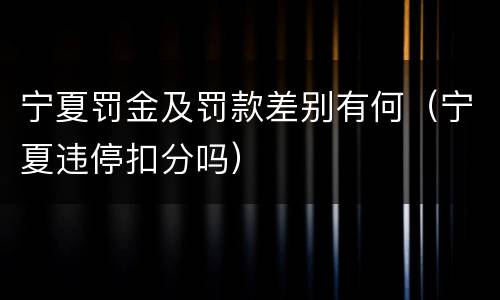 宁夏罚金及罚款差别有何（宁夏违停扣分吗）