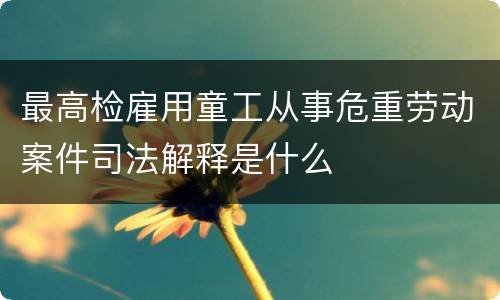 最高检雇用童工从事危重劳动案件司法解释是什么