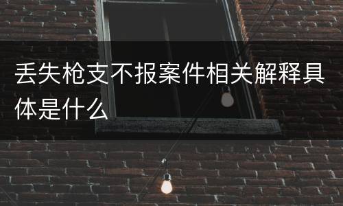 丢失枪支不报案件相关解释具体是什么
