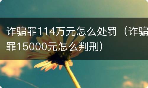 诈骗罪114万元怎么处罚（诈骗罪15000元怎么判刑）