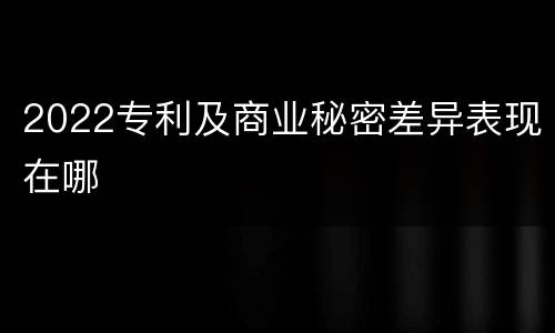 2022专利及商业秘密差异表现在哪