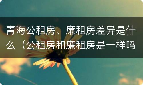 青海公租房、廉租房差异是什么（公租房和廉租房是一样吗）