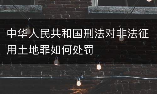 中华人民共和国刑法对非法征用土地罪如何处罚