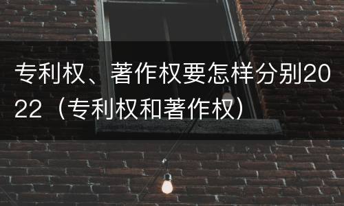 专利权、著作权要怎样分别2022（专利权和著作权）