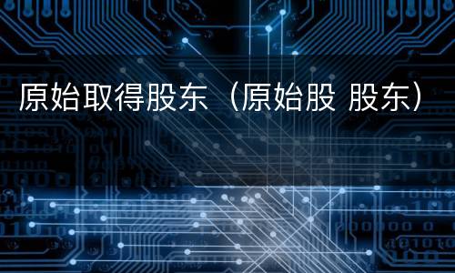 原始取得股东（原始股 股东）