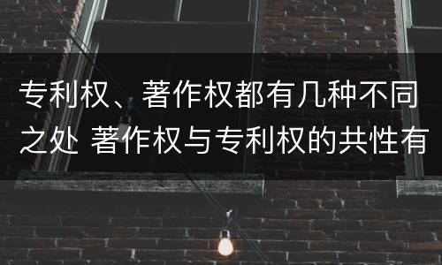 专利权、著作权都有几种不同之处 著作权与专利权的共性有