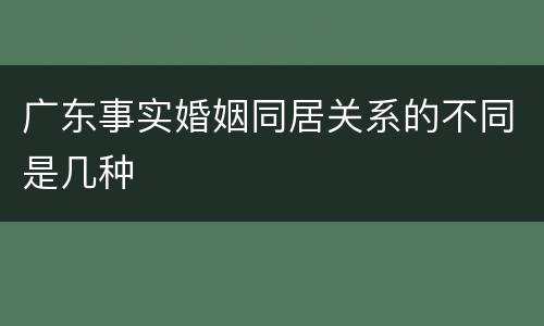 广东事实婚姻同居关系的不同是几种