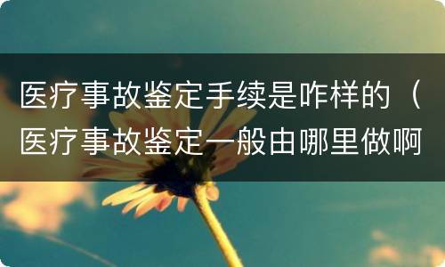 医疗事故鉴定手续是咋样的（医疗事故鉴定一般由哪里做啊?）