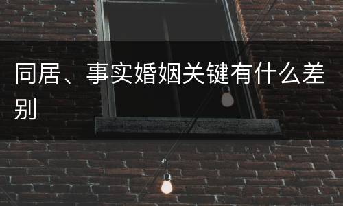 同居、事实婚姻关键有什么差别