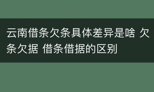 云南借条欠条具体差异是啥 欠条欠据 借条借据的区别
