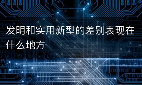 发明和实用新型的差别表现在什么地方