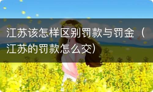江苏该怎样区别罚款与罚金（江苏的罚款怎么交）