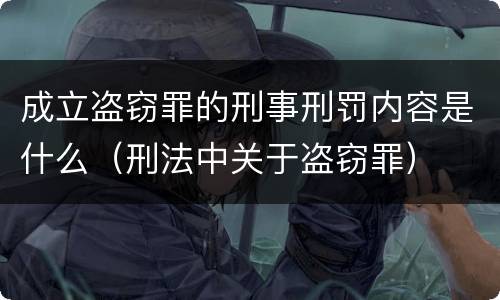 成立盗窃罪的刑事刑罚内容是什么（刑法中关于盗窃罪）