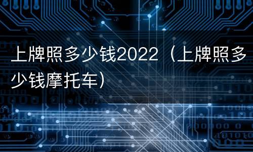 上牌照多少钱2022（上牌照多少钱摩托车）