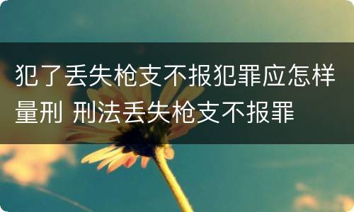 犯了丢失枪支不报犯罪应怎样量刑 刑法丢失枪支不报罪