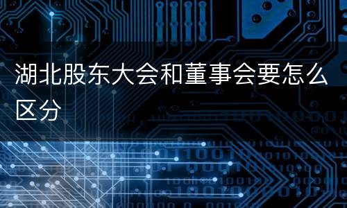 湖北股东大会和董事会要怎么区分