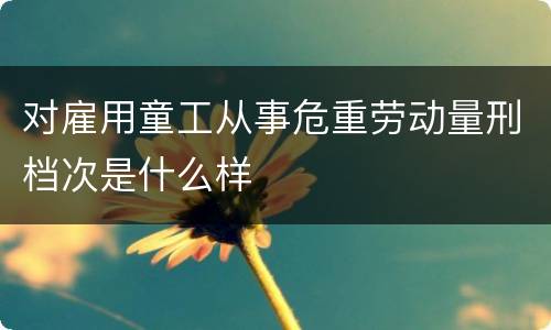 对雇用童工从事危重劳动量刑档次是什么样