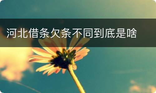 河北借条欠条不同到底是啥
