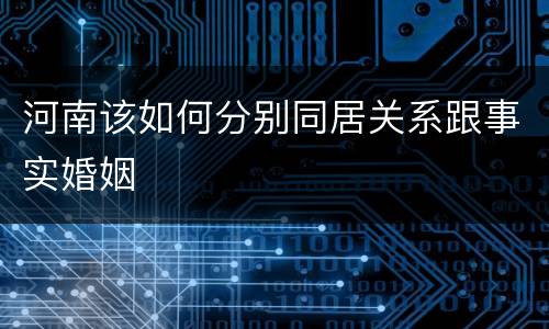 河南该如何分别同居关系跟事实婚姻