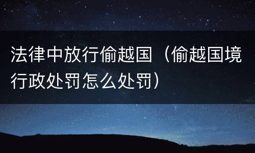 法律中放行偷越国（偷越国境行政处罚怎么处罚）