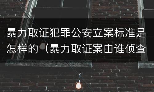 暴力取证犯罪公安立案标准是怎样的（暴力取证案由谁侦查）