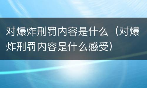 对爆炸刑罚内容是什么（对爆炸刑罚内容是什么感受）