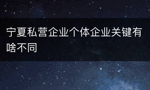 宁夏私营企业个体企业关键有啥不同