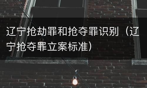 辽宁抢劫罪和抢夺罪识别（辽宁抢夺罪立案标准）