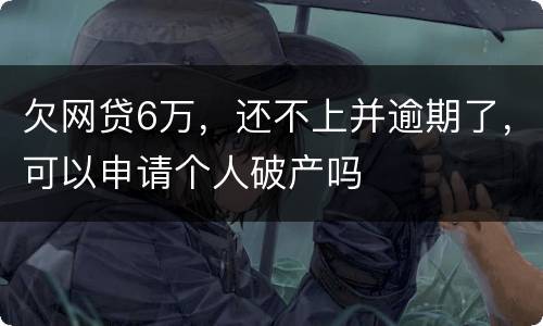 欠网贷6万，还不上并逾期了，可以申请个人破产吗