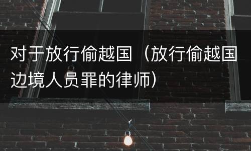 对于放行偷越国（放行偷越国边境人员罪的律师）